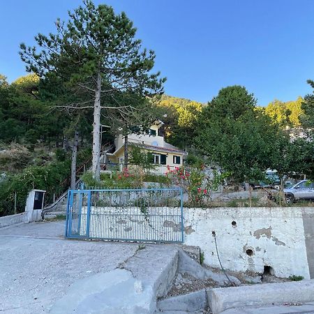 Apartament Eagle'S Nest Palase Zewnętrze zdjęcie