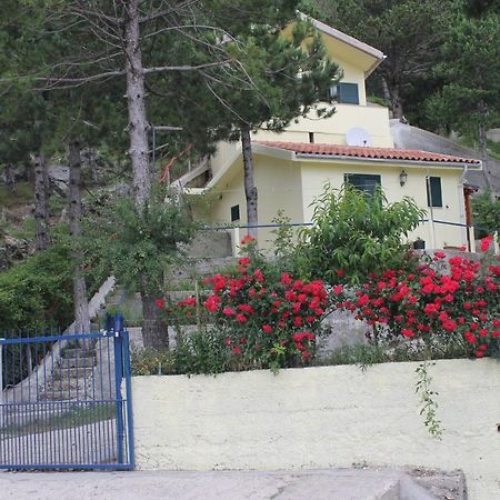 Apartament Eagle'S Nest Palase Zewnętrze zdjęcie
