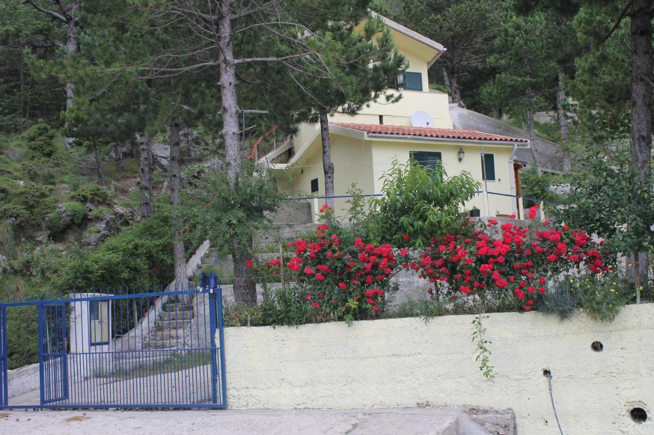 Apartament Eagle'S Nest Palase Zewnętrze zdjęcie